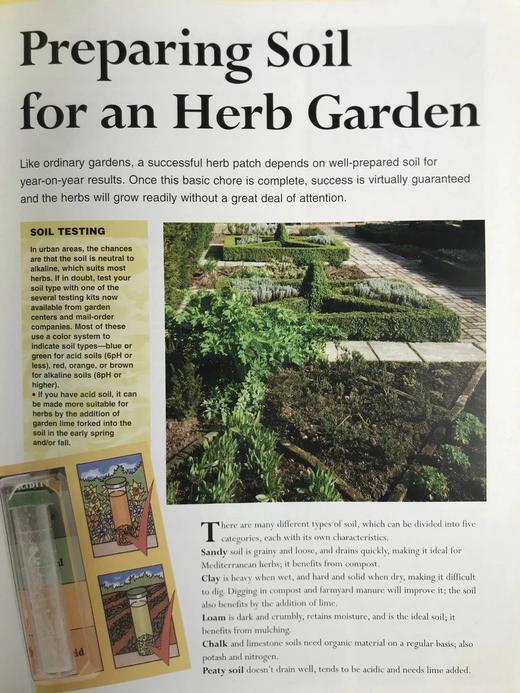 草药之书（辞典，种植，烹饪，功效） 数千幅彩色插图 精装16开 商品图14