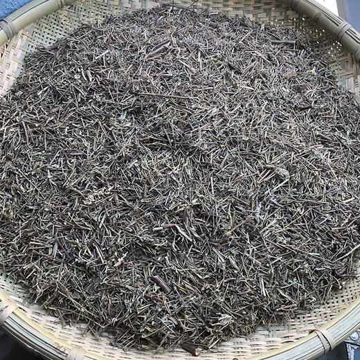 香薷草 常用规格 香茹草 商品图4