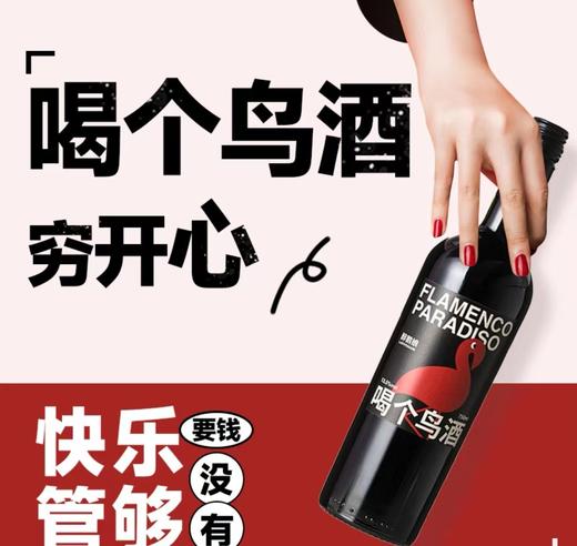 【女神节特惠】醉鹅娘 喝个鸟酒智利5梅洛干红葡萄酒750ml 6支装 商品图0