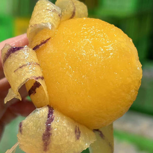 【云南石林树上熟的人参果】清甜补水  肉香皮薄  清甜多汁  无核化渣 营养低糖 商品图0