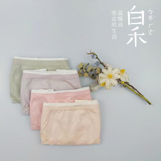 【白禾】_女士蜂巢抗菌速干内裤（4条/包） 商品图3