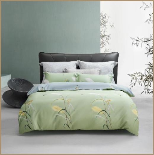 【团购展示】水星家纺 全棉抗菌四件套——倩影摇曳 商品图0