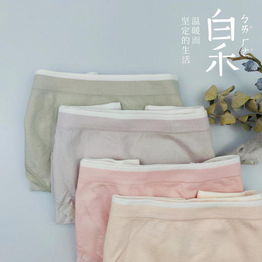 【白禾】_女士蜂巢抗菌速干内裤（4条/包） 商品图1