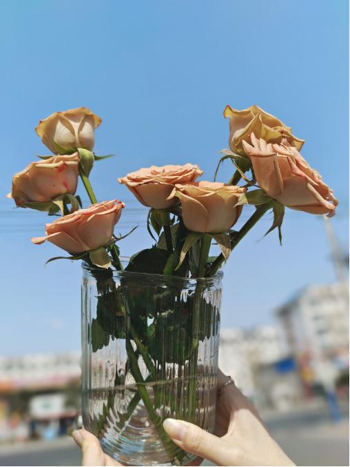 U型瓶7只卡布奇诺（拼团） 商品图3