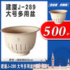 225608 建厦J-289 大号多用盆 商品缩略图0