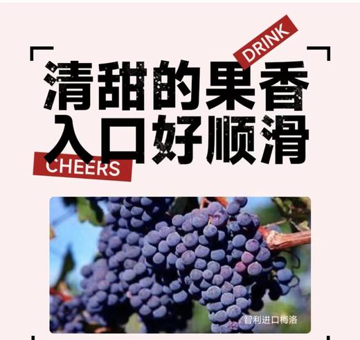 【女神节特惠】醉鹅娘 喝个鸟酒智利5梅洛干红葡萄酒750ml 6支装 商品图2