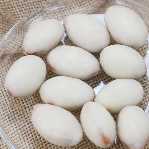 月亮姐姐牌酸奶益生菌巴旦木仁100g/袋 商品图1