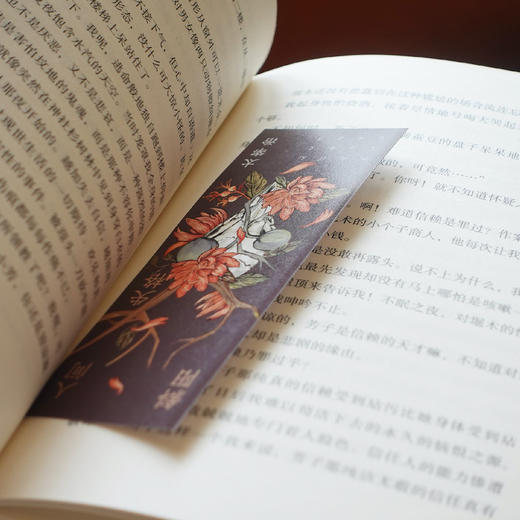 《太宰治·精选集》（全4册） 商品图4