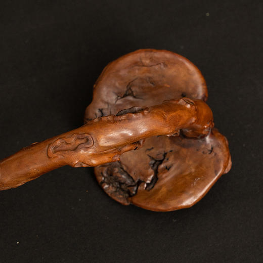 清 黄杨木雕灵芝大如意 商品图3