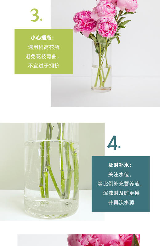 蓝盆友芍药专用营养液5ml【包邮到家】 商品图9