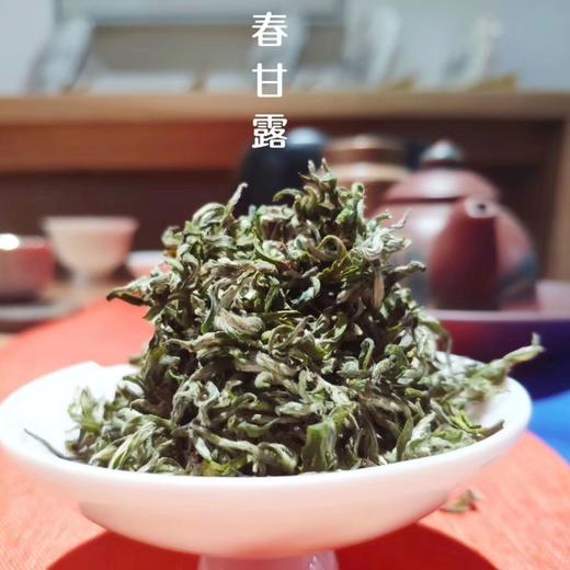 【春茶】天一琼竹 明前蒙顶甘露春茶 商品图3