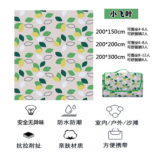国庆出游户外野餐垫春游防潮垫加厚防水野餐垫户外风ins 商品图2
