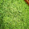 【春茶】天一琼竹  明前竹叶青春茶 商品缩略图1