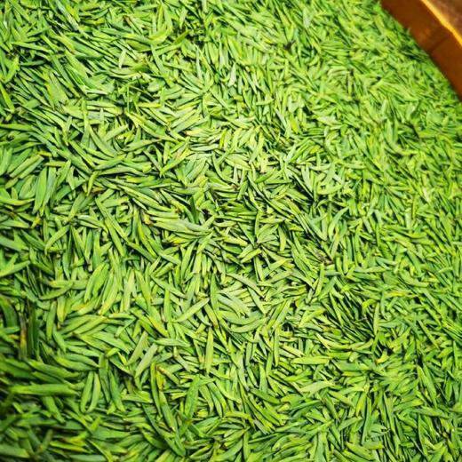 【春茶】天一琼竹  明前竹叶青春茶 商品图1