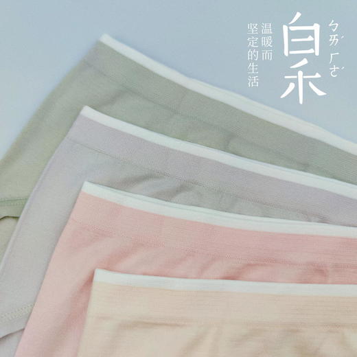 【白禾】_女士蜂巢抗菌速干内裤（4条/包） 商品图2