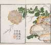 国家图书馆善本特藏精品·芥子园画传（盒装珍藏版 三集十册 16开） 商品缩略图7