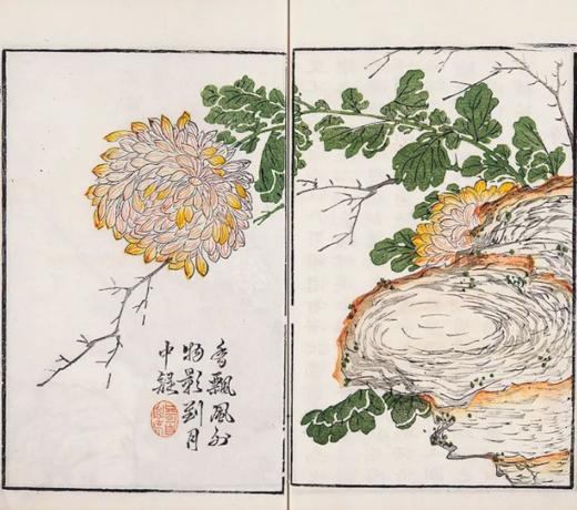国家图书馆善本特藏精品·芥子园画传（盒装珍藏版 三集十册 16开） 商品图7