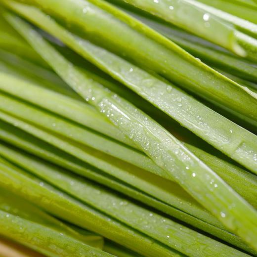 放心韭菜 约150g/袋 安全安心可追溯 伊藤自有品牌 商品图2