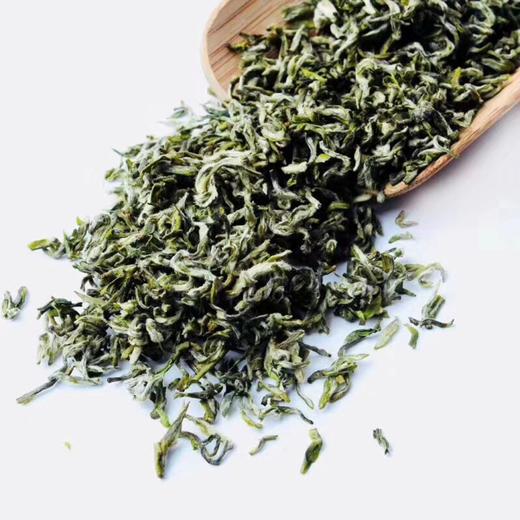 【春茶】天一琼竹 明前蒙顶甘露春茶 商品图5