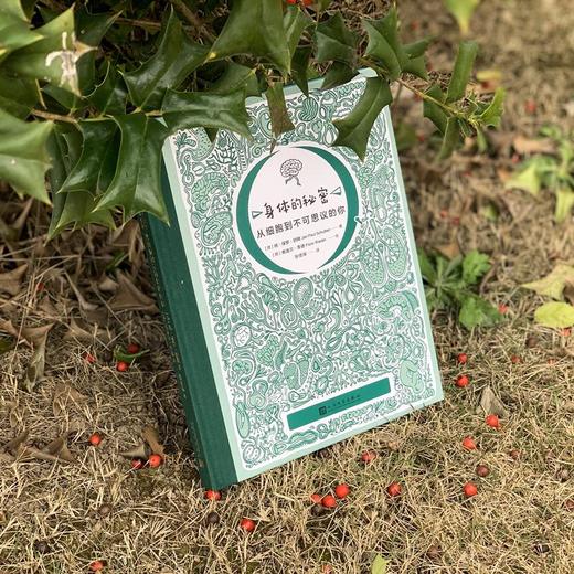 身体的秘密 从细胞到不可思议的你 商品图4