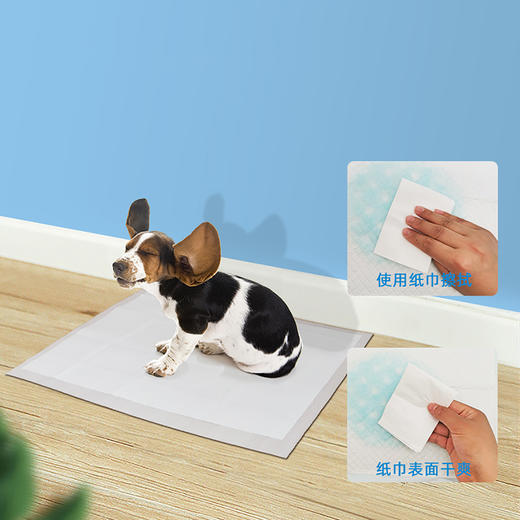 派锐宠物尿片狗狗尿垫除臭加厚吸水尿布尿不湿s/m/l/xl幼犬狗用品 商品图3