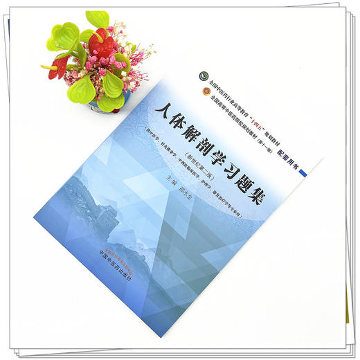 人体解剖学习题集  邵水金 著 全国中医药行业高等教育十四五规划教材配套用书  中国中医药出版社考试考研刷题复习练习题卷子书籍 商品图2