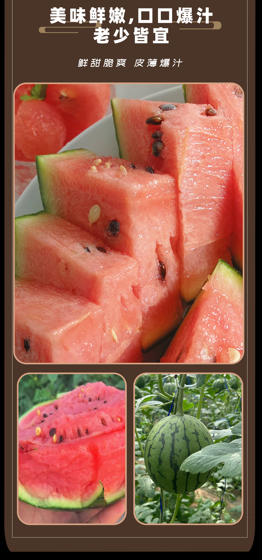 品城记甄选【京东包邮-手撕西瓜】绿皮红瓤 皮薄肉酥脆 香甜多汁 西瓜
