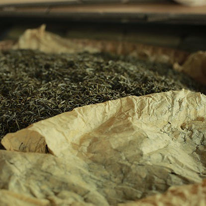 2025新头茬手工蒙顶黄芽，一茶难求！魏久淞亲制，三麸三包  芽条匀整  色泽嫩黄  芽毫显露  花香幽长  汤色黄亮透碧  滋味鲜醇回甘 商品图12