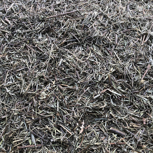 香薷草 常用规格 香茹草 商品图1