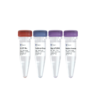 PureScript 1st Strand cDNA Synthesis Kit (Low Nucleic-acid Contamination) 商品缩略图0