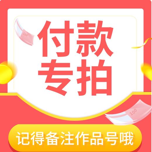 付款专拍-中竖款-570P_280522-3 商品图0