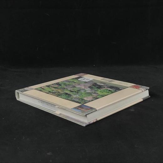 日式园林的魅力 百余幅彩色插图 精装大32开 商品图2