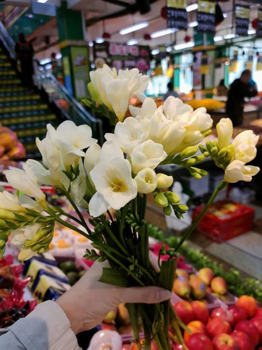 香雪兰4支（拼团） 商品图1