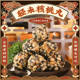 轻未核桃丸坚果丸子老树核桃丸营养休闲零食网红食品追剧独立包装