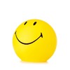 荷兰 Mr Maria 笑脸 灯 Smiley Lamp 商品缩略图2