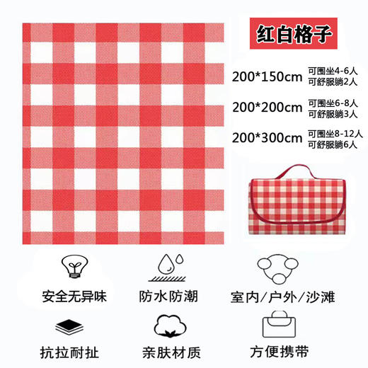 国庆出游户外野餐垫春游防潮垫加厚防水野餐垫户外风ins 商品图4