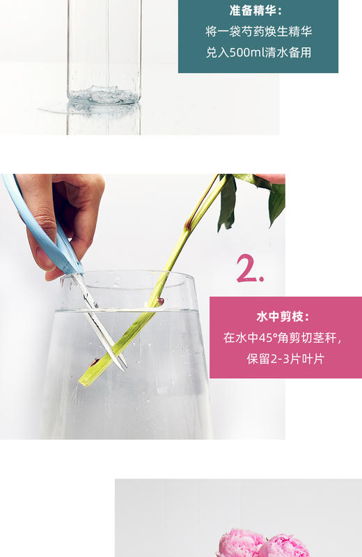 蓝盆友芍药专用营养液5ml【包邮到家】 商品图8