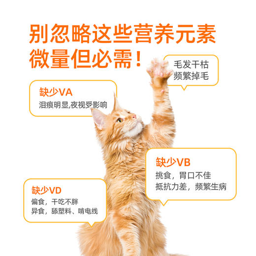 小轻松冻干维生素棒经典款 40g/桶，猫咪11种多维营养补充 商品图3