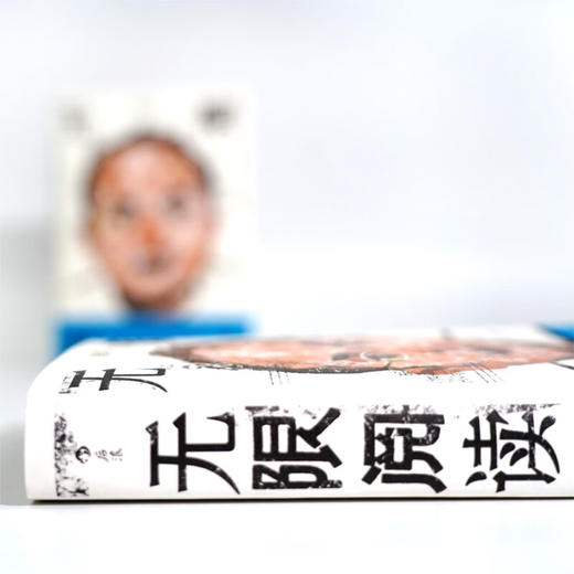 无限阅读 骆以军 著 文学 商品图2