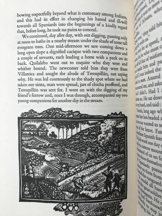 努涅斯《快乐的俘虏》 约20幅版画插图 精装大32开带书匣 商品图9