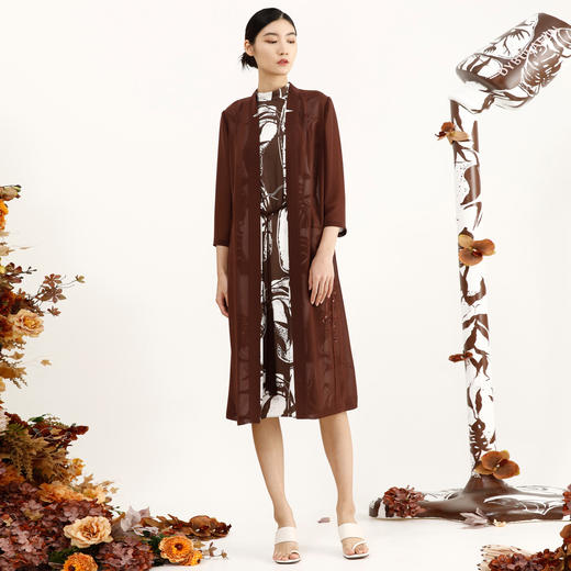 戴布拉芬风衣L26B605 商品图1