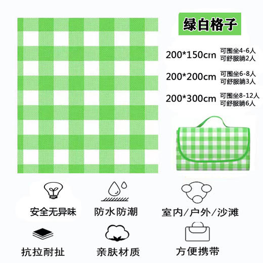 国庆出游户外野餐垫春游防潮垫加厚防水野餐垫户外风ins 商品图3