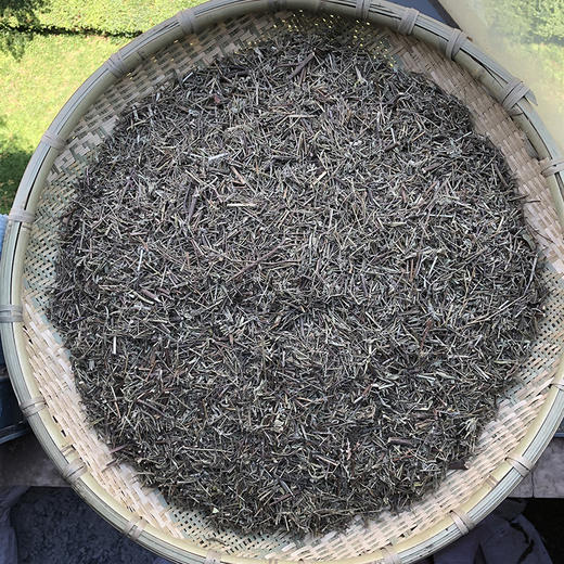 香薷草 常用规格 香茹草 商品图0