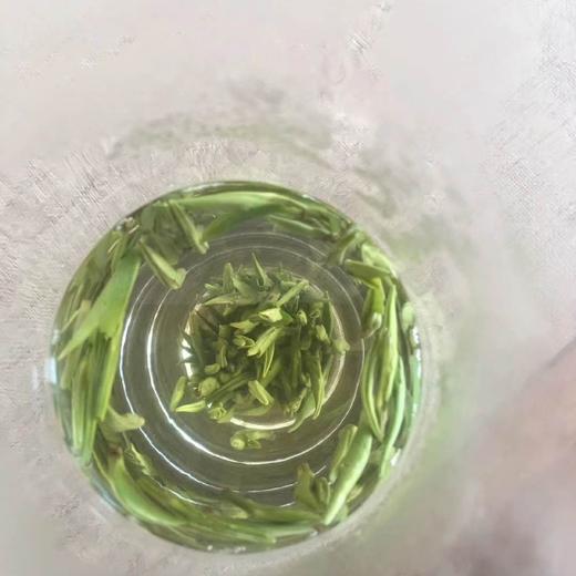 【春茶】天一琼竹  明前竹叶青春茶 商品图4