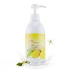 娜斯丽Nursery 卸妆洁面哲理 香橙 180ml 深层清洁补水保湿卸妆啫喱 商品缩略图2
