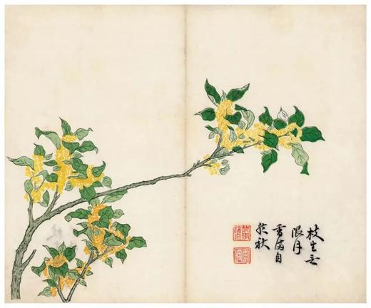 国家图书馆善本特藏精品·芥子园画传（盒装珍藏版 三集十册 16开） 商品图6