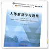 人体解剖学习题集  邵水金 著 全国中医药行业高等教育十四五规划教材配套用书  中国中医药出版社考试考研刷题复习练习题卷子书籍 商品缩略图4