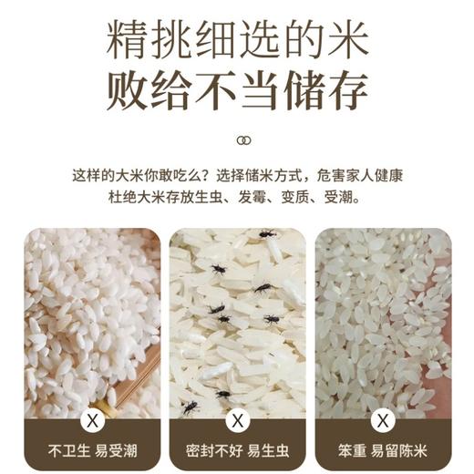 「三款配色！颜值派」米桶家用新款大容量密封防虫防潮计时米桶箱厨房用品五谷杂粮面粉米缸收纳整理 商品图1