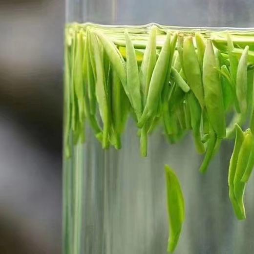 【春茶】天一琼竹  明前竹叶青春茶 商品图3