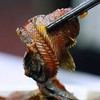 湖之香阳干泥鳅160g 商品缩略图2